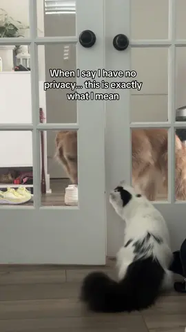 Where’s my personal space when I have fur babies 😆💕 #furbabies 