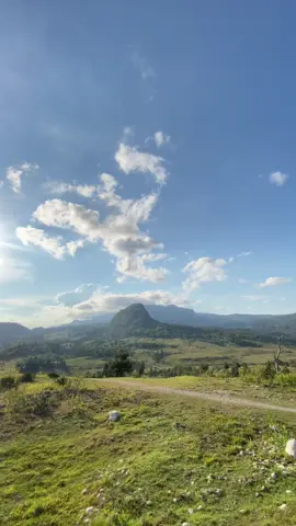 Ossu Builo nia furak🍃#tiktoktimorleste🇹🇱 #viquequeossu 