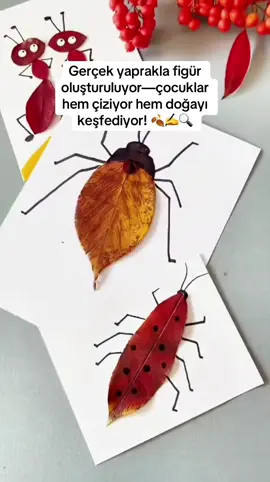 Beğenmeyi, kaydetmeyi ve yorum yapmayı unutma! Yeni fikirler için takipte kal! Bu etkinlik çocukların şekil algısını, doğa farkındalığını ve ince motor becerilerini geliştirir. Gerçek yaprak üzerine yapılan çizimlerle çocuklar hem böcek figürü tasarlıyor hem de doğal malzemelerle üretim sürecini deneyimliyor. #DIY #çocuketkinliği #motorbecerileri #creativekids #okulöncesietkinlik                