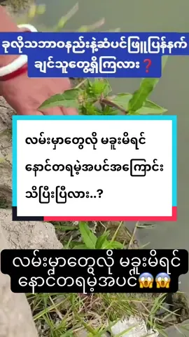 #VoiceEffects #ဖြူပြန်နက်ဆေး #fyppppppppppppppppppppppp #thankb4youdo #fyp 