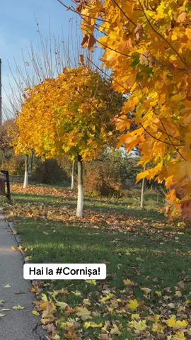 #Cornisa #Botosani #aquapark #patinoar #sport 