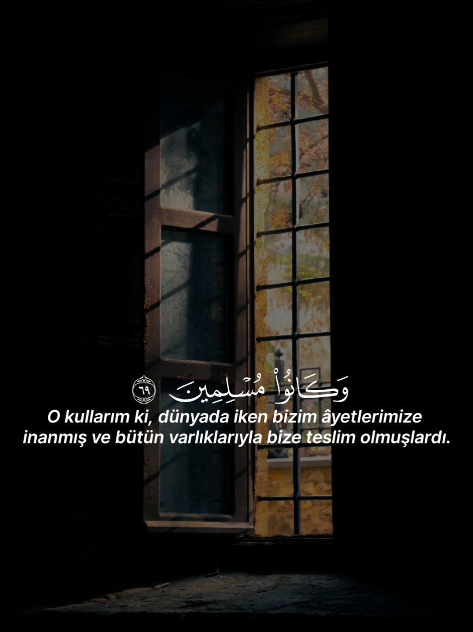 Zuhruf Sûresi 69/71 #سورةالزخرف #kuranıkerim #ayetler #قرآن #fyp 