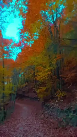 #keşfett #fyp #tik_tok #keşfett #fypppppppppppppppppppppp 