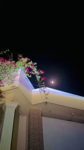 منزل تو ایک مقام ہے، مگر سفر احساسات کا ایک حسین جہاں ہے۔✨👀🌸🦋💫#views #meh_alee #fypシ゚ #support_me #unfreezemyacount 