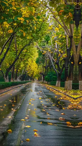 #creatorsearchinsights 