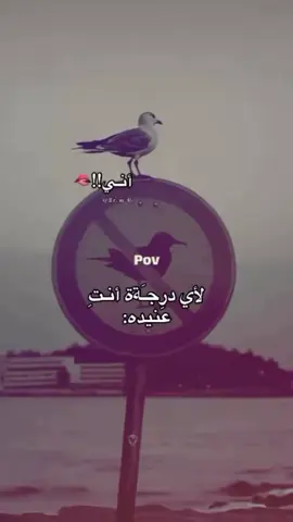 #CapCut #مالي_خلق_احط_هاشتاقات #خواطر #اقتباسات #اكسبلورexplore 