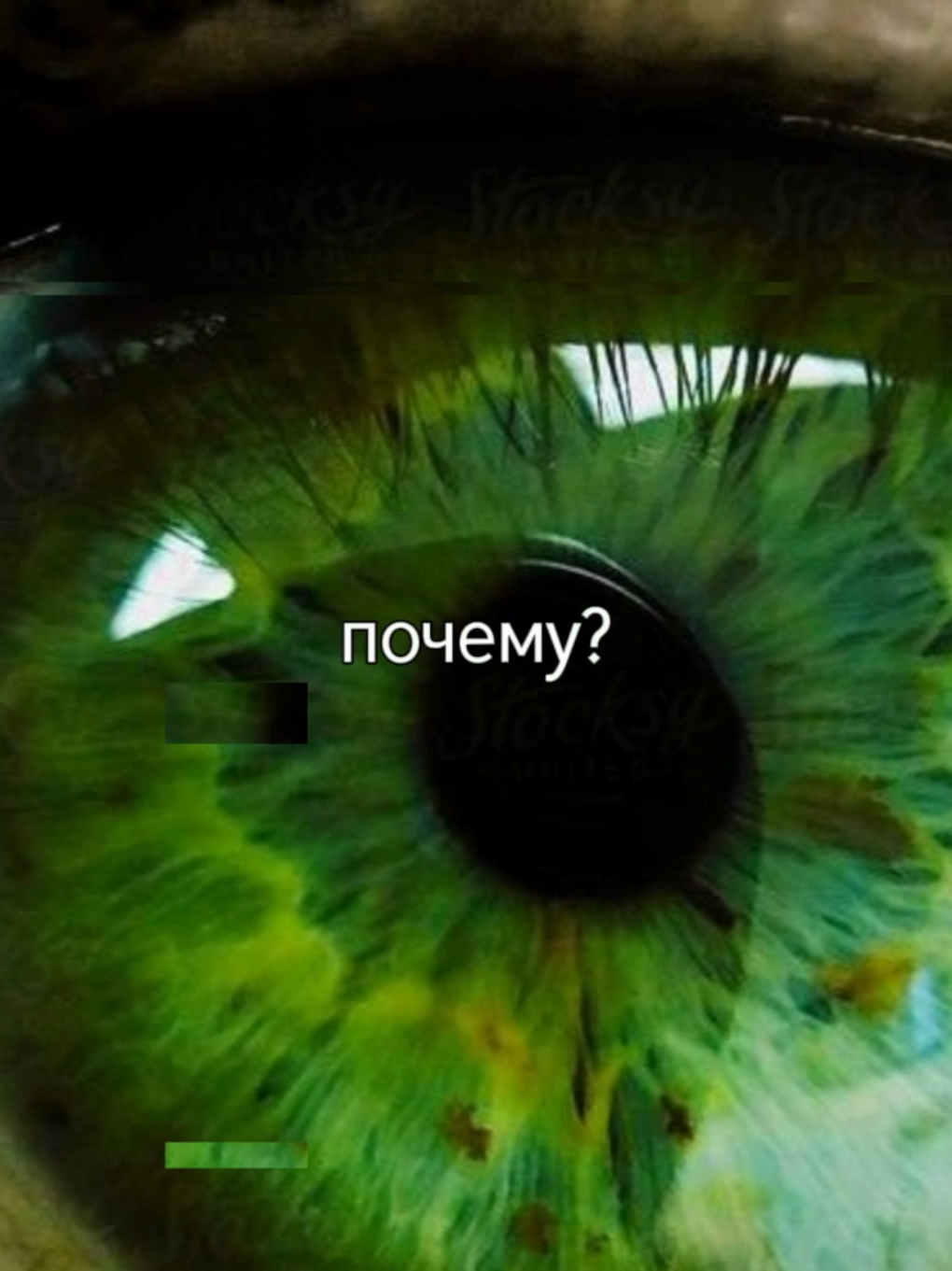 Зеленоглазые деффки! - ЛСП и Моргенштерн #музыка #lyrics #песня #трек #звукдлялипсинга #текстпесни #зеленыеглаза #лсп #моргенштерн 