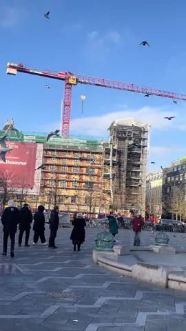 #viralvideos #veiws #reels__tiktok 