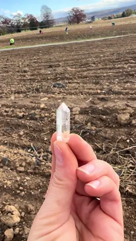 Spent the weekend out in a farmer’s field in Pennsylvania finding quartz crystals! They might be small, but they’re crystal clear and absolutely beautiful. #rockhound #crystals #crystaltok #pennsylvania #fyp 