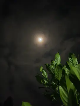 মানুষ চিনতে হলে মানুষের খুব কাছে যেতে হয়! দূর থেকে তো চাঁদও সুন্দর!🌙😅#foryou #viralvideo #fyppppppppppppppppppppppp 