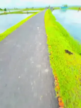 ##10kviews ##foryoupage #10k #bangladesh #tiktok @Akhi Dhali 