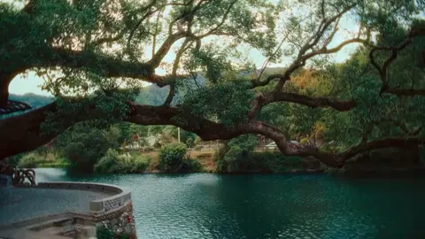 “Làm gì có chuyện con người được sống hồn nhiên như nước chảy mây trôi? Phải chọn lựa và trả giá...“#chualanh #phongcanh #fyp #xuhuong 