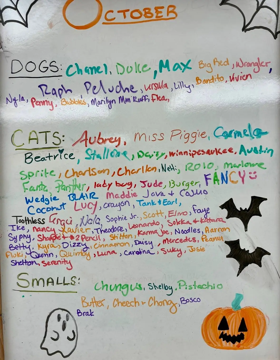 Lots of adoptions in October. Happy tails to everyone. May everyone be safe, happy, healthy for a long time. ⁣ ⁣ ⁣ Find more information on our website: lowellhumanesociety.org⁣ ⁣ ⁣ ⁣ ⁣ •Lowell Humane Society is a licensed rescue organization located in Lowell, Massachusetts —license # 0233⁣ ⁣ #adoption #adoptdontshop #lowellhumanesociety 