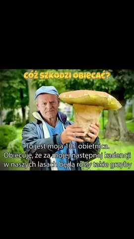 Cóż szkodzi obiecać?