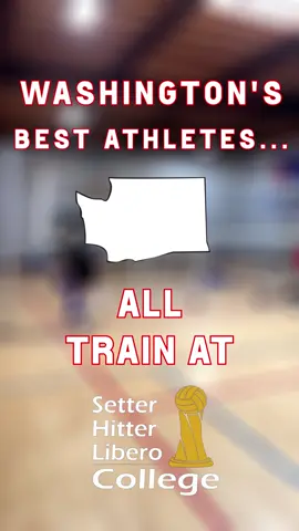 NEVADA VOLLEYBALL ATHLETES 💥🏐 We are pushing the best in your state to reach their highest level. You’re in the most competitive time in history for the sport of volleyball. Set yourself up to have a real advantage. No matter what your goals are: @volleyballlessons | SHL College | and @cpafacility will create the program necessary for you to get there. Mentality | Technique | IQ are our main focuses and our home base @cpafacility is a few minutes away from LAX Airport in Southern California and the beach 🏖️. If you feel ready… contact us ⬇️ Contact Us: 🔗 www.SetterCollegeVB.com/contact 📞 TEXT 424-348-9333. 🏆 #volleyball #volleyballlessons #volleyballplayer #athlete #sports           