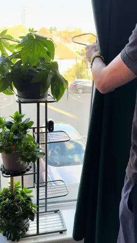 ✨ Prindere magnetică pentru draperii — simplu de folosit,  Se fixează cu magnet, ține perfect draperia strânsă și dă un aspect elegant oricărei camere 🏠 Disponibile în mai multe culori, ca să se potrivească cu orice decor 💫 #tiktokmademebuyit  #tiktokshopuk #magneticholder #🛍️  