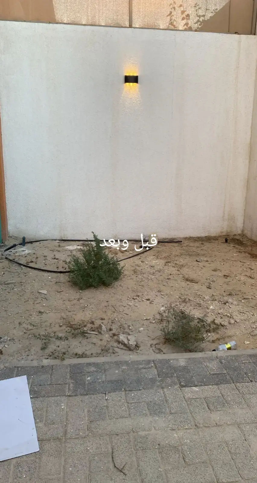 #ثيل_طبيعي #مشتل_زراعة_احواض_اشجار_ورود_بذور #النخيل_الاشجار_المثمرة #احواض_زراعه_طبيعى 