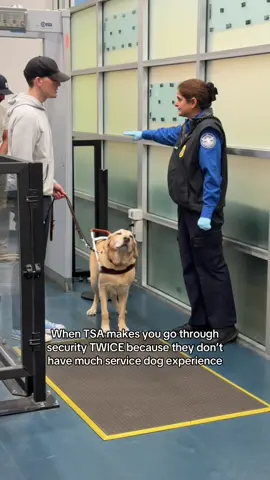 Well that was a first 🙃 … at least Mr. Maple got his favorite puppy-pat-down! #dogtok 