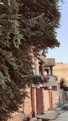 #اكسبلور #fyp 