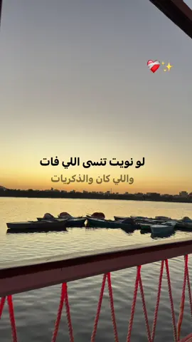 وسوفيات ❤️✨ #جورج_وسوف_🔚ابو_وديع_سلطان_الطرب👑 #WelcomeWassouf #سلطان_الطرب #طرب #foryou 