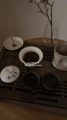 тгк : eviique #quietlife #buddhism #буддизм #чайнаяцеремония #fyp 