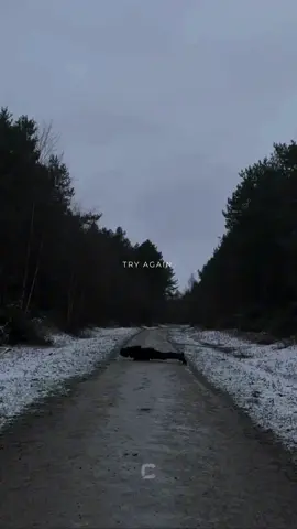 Try again + in my Bio🔗.                 #discipline #tryagain #mindset #motivation 