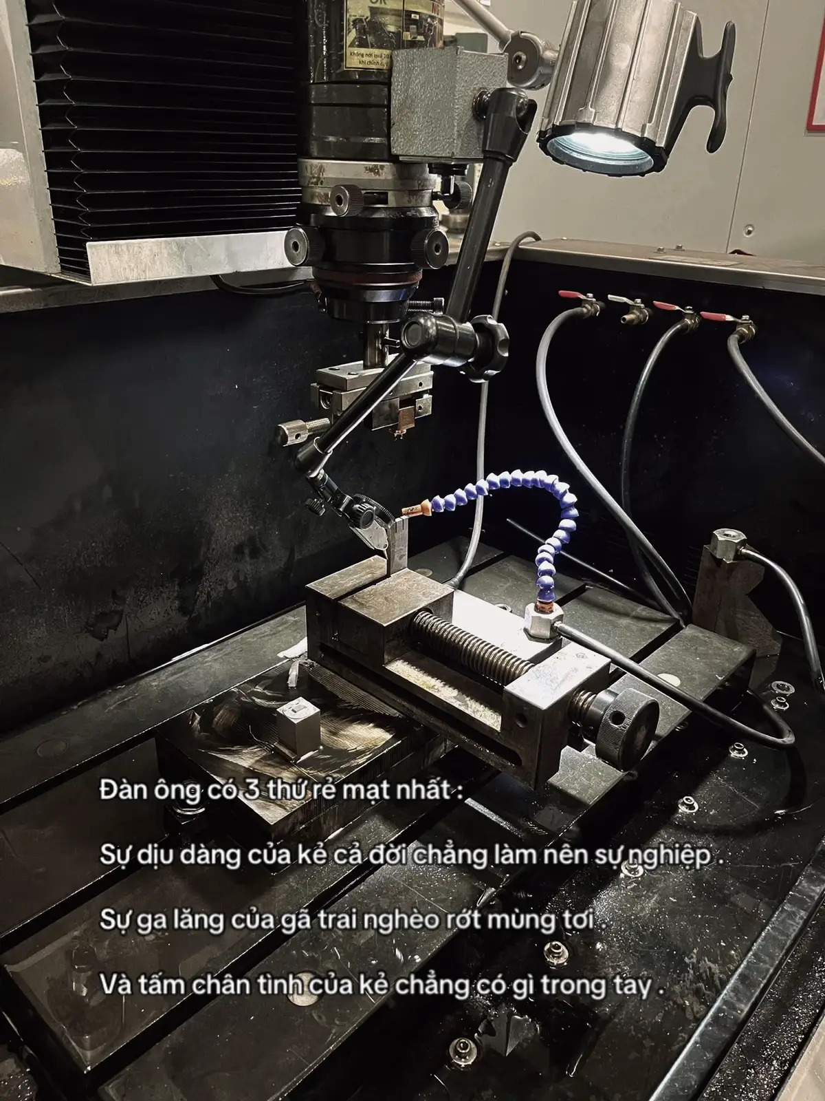 Có nhiều hôm mưa mới thấy yêu những ngày nắng . Bé thường không ưa , lớn mới thấy thương người mắng .