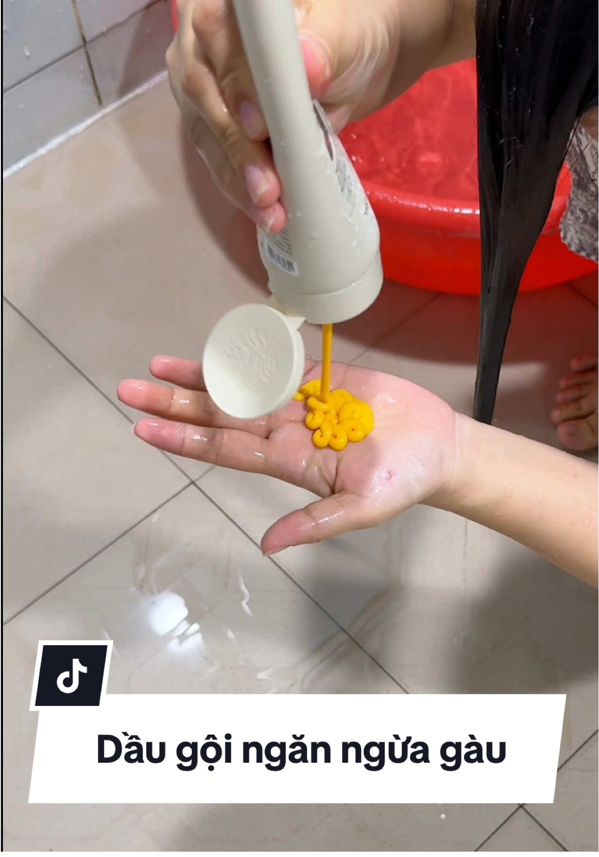 Mới gội lần đầu đã thấy hiệu quả rồi #daugoitrigau 