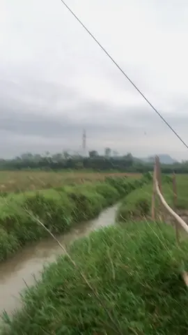 Gió bé tí đảo điên #dieusaophutho #xhhhhhhhhhhhhhhhhhhhhhhh 