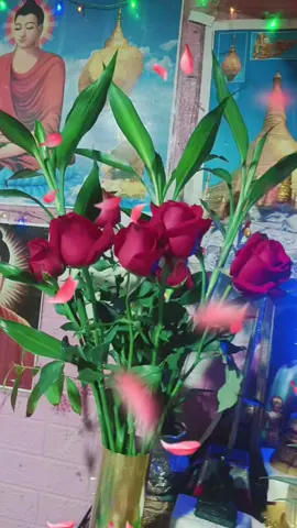 #မဂ်လာနံနက်ခင်းလေးပါ#fry #foryou #tikiokthaila #ရောက်ချက်ရာရောက်💜💜💜💓🌹🌹 @မေမေသမီးလေး 