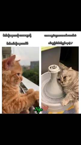 အေး လာမချော့နဲ့ပစ်ထား😒 #lgbt🌈 #fypシ゚ #foryou #fypage #lgbtcouple🌈👩‍❤️‍💋‍👩 