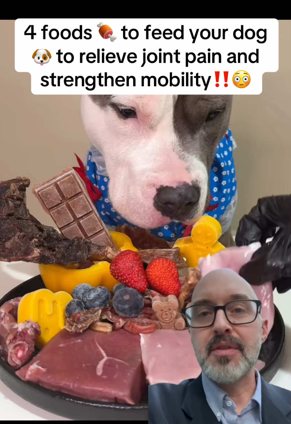 4 foods to feed your dog to relieve joint pain and strengthen mobility. #petfood #PetsOfTikTok #veterinarian #usa #dogs 