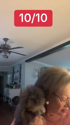 Best pet cologne on the market! #cologne #fyp #pets #creator 