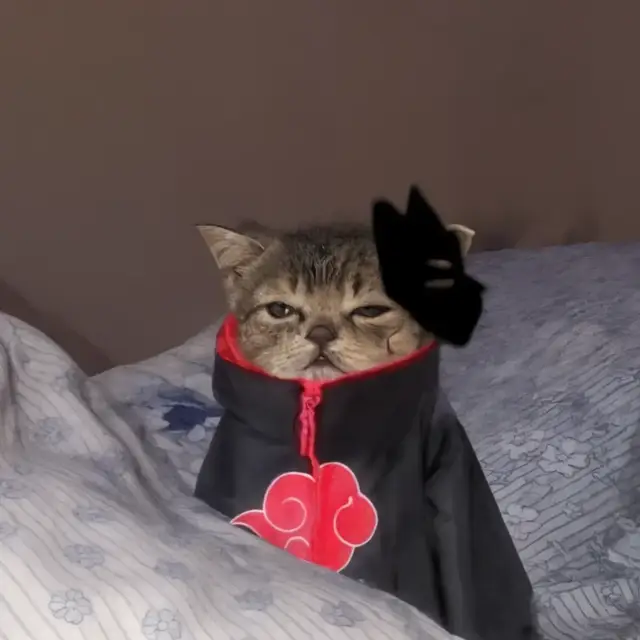 #fyppppppppppppppppppppppp 