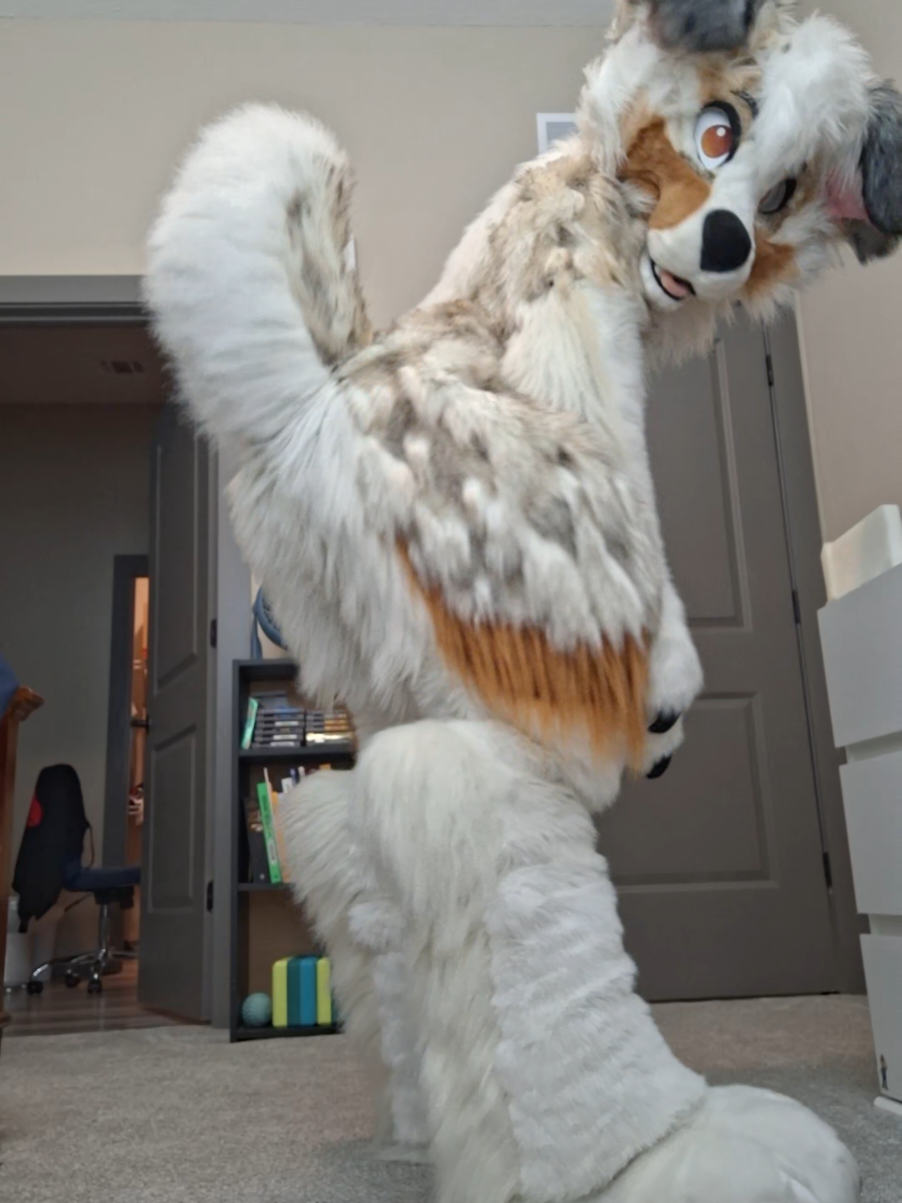 so what if your tail is longer?!?! 😡 #furry #fursuit #fursuiter ##fursuiting #furrytiktok 