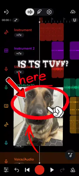 dog whining SONG #song #dogwhining #sog #dog