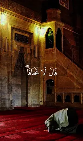 سورة طه🤍✨🤲🏻#قران #قران_كريم #ALLAH #fyp #اللهم_صلى_على_نبينا_محمد 