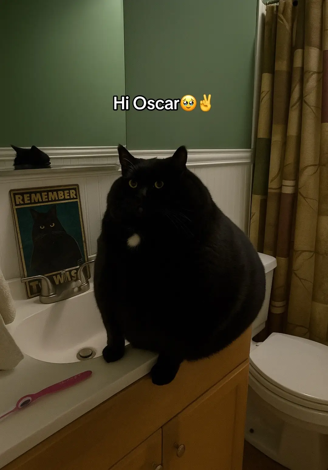 #blowthisup #xyzbca #viral #fyp #wrockst★rz🦇 