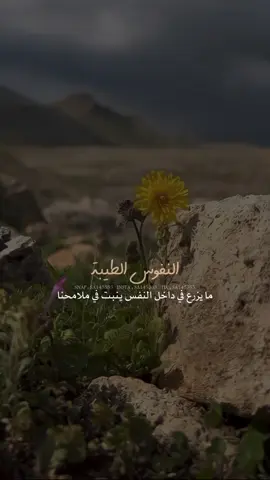 جمال الحياة إنك تساير بساطتها 🤍🤍