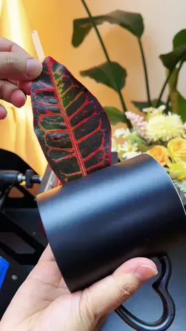 #foryou #foryou #foryou #lfikharsafi78 #lfikharsafi78 