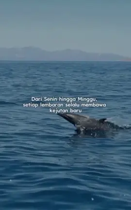 Assalamualaikum ☺️🙏