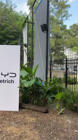 #BYD #BYDYuanPro #BYDArgentina #AutosElectricos #ElectricCar      @BYD | dietrich 