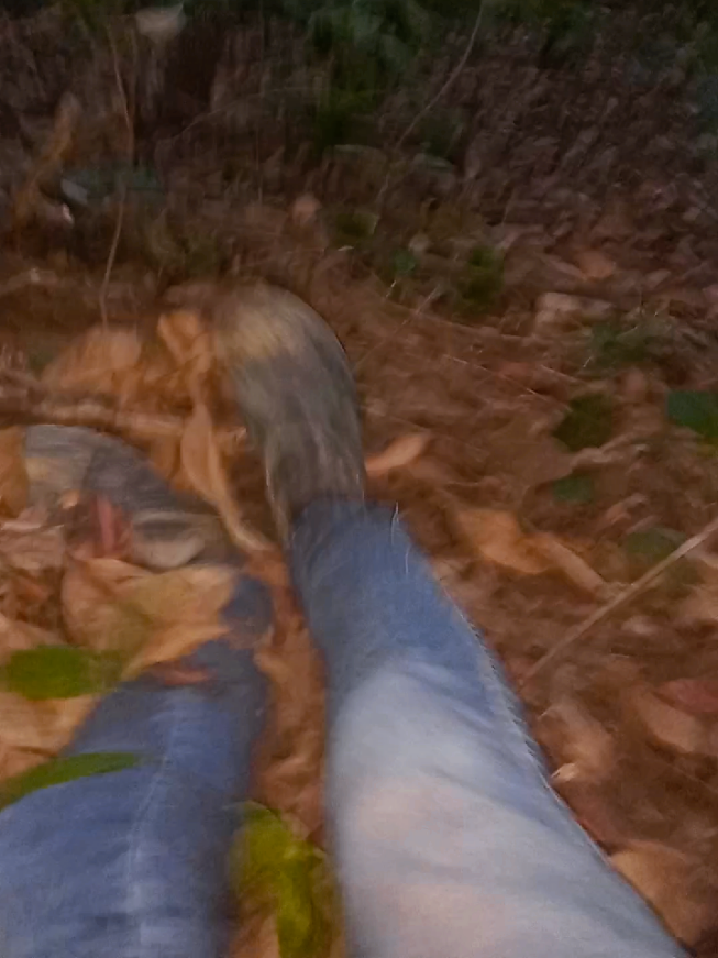 BANDIDO NO RIO DE JANEIRO FUGIU PRA FLORESTA E FILMOU SEU FIM, DEU RUIM 😱😱