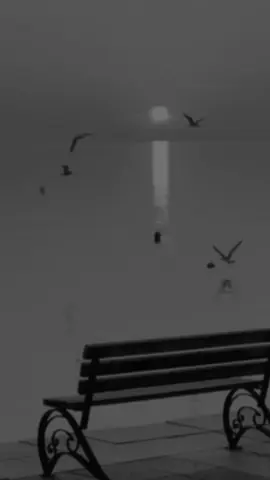 مع السلامة يا شهور مضت#اجر_لي_ولك #قران #quran #قران_quran🎧 