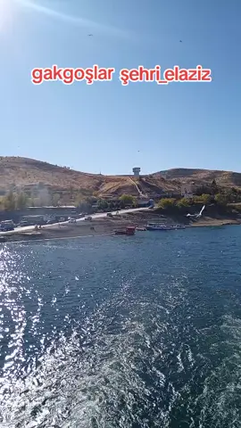 #🌹🌹🥀🥀🌷🌷 