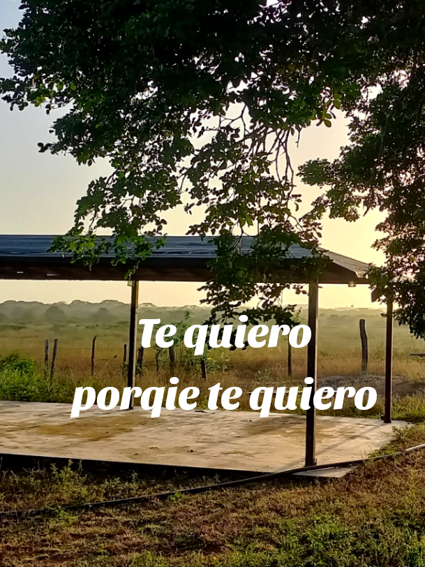 #joropo #reinaldoarmasoficial #paratiiiiiiiiiiiiiiiiiiiiiiiiiiiiiii 