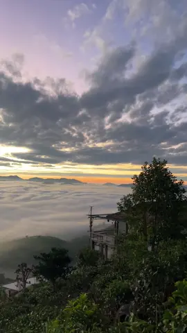 #đoimaylocthanh #viral #trending #maivu #xuhuong 