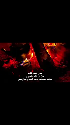 #عبارات #شعر #tunisia #fyp #شعب_الصيني_ماله_حل😂😂 