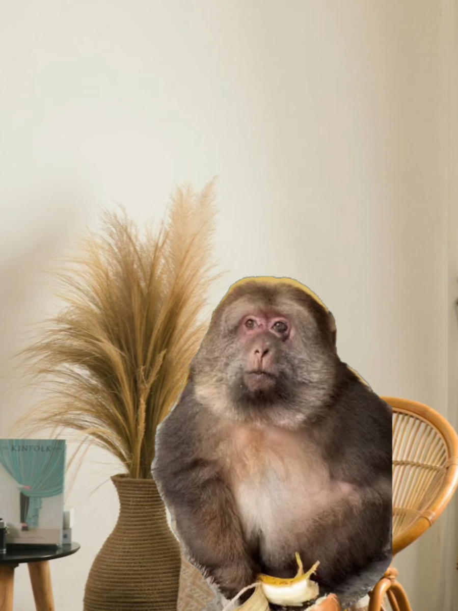 Me dijeron conocete a ti misma #CapCut #meme #humor #fouryou #paratiiiiiiiiiiiiiiiiiiiiiiiiiiiiiii 