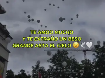 Te amoo mucho y te extraño un beso grande asta el cielo 😣🕊️🤍 #2noviembre #diademuertos #fallecimiento💔 #recuerdos #amor 